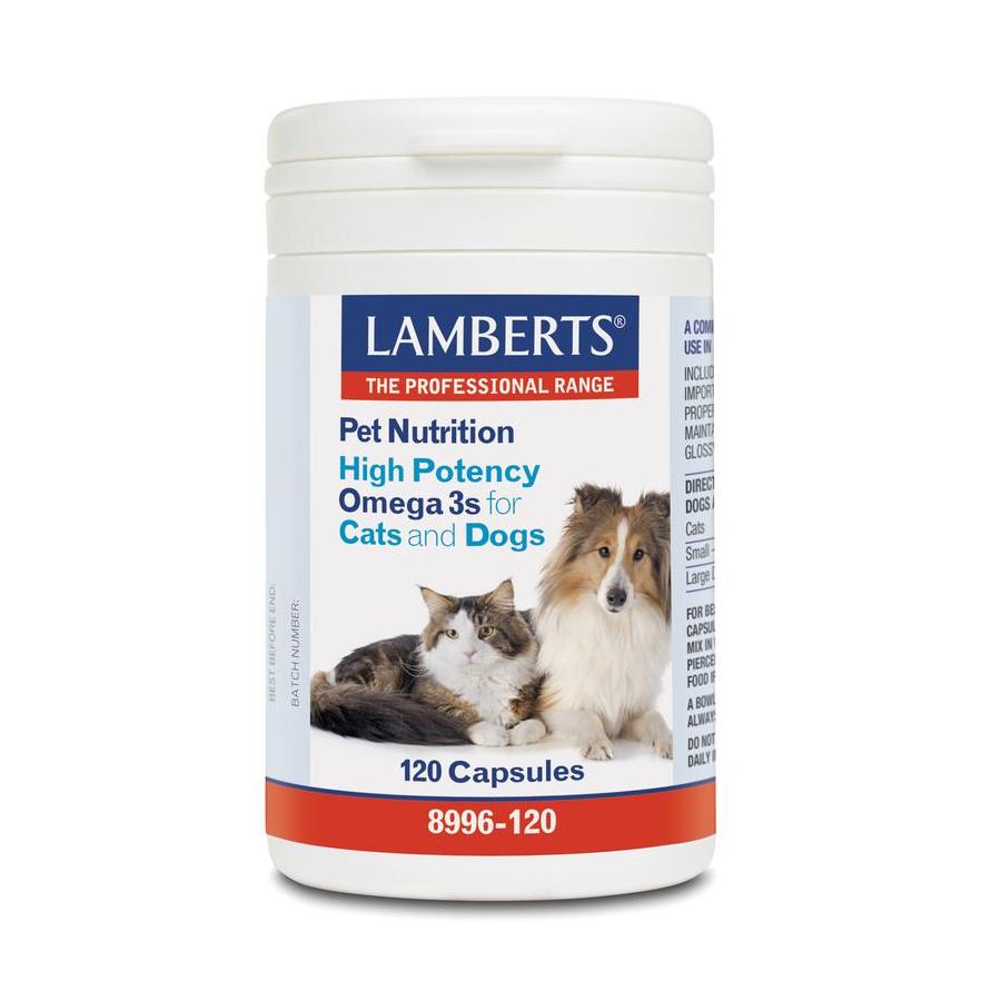 Omega 3 voor dieren hond en kat