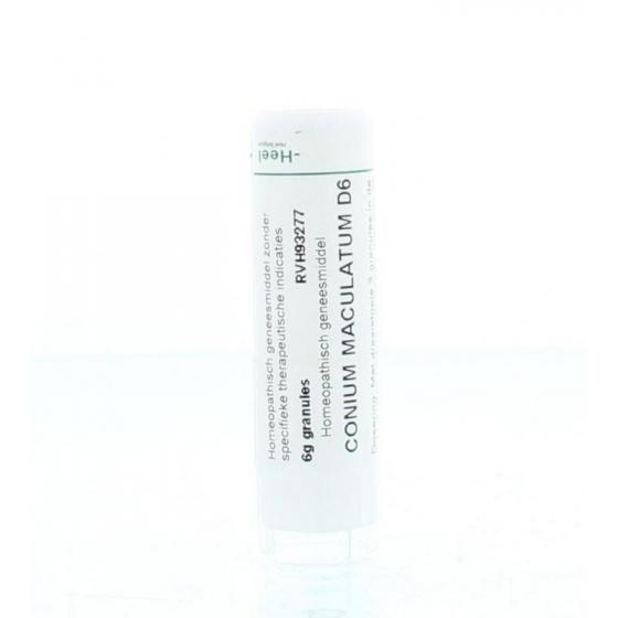 Conium maculatum D6