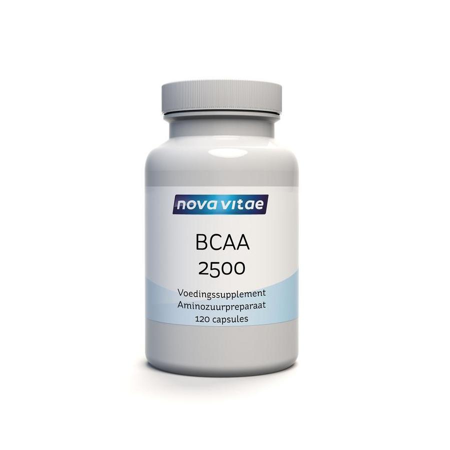 BCAA 2500 2:1:1