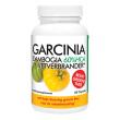 Garcinia cambogia 60% HCA vetverbrander