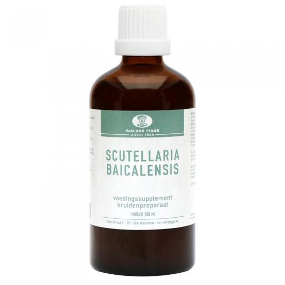 Scutellaria baicelensis tinctuur