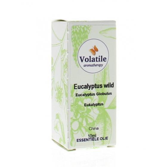 Eucalyptus wild