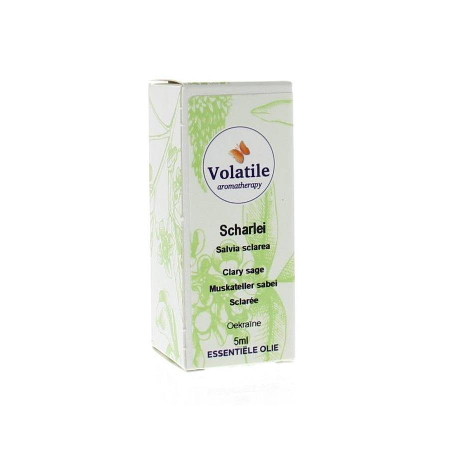 Scharlei