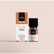 Tea tree