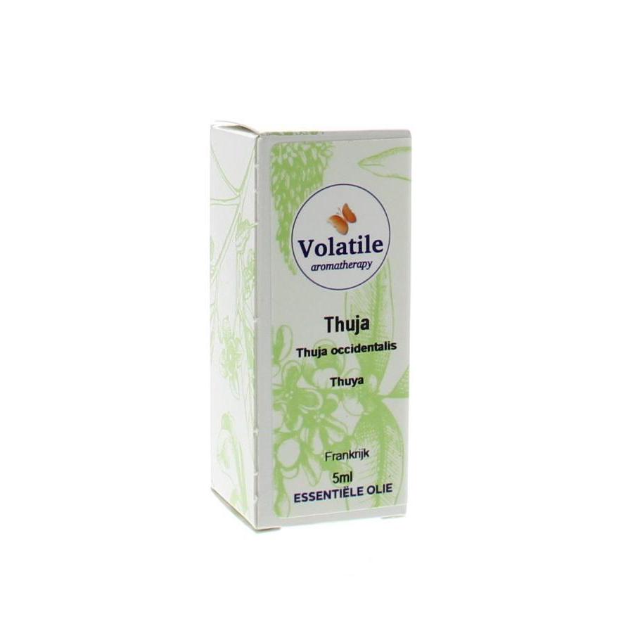 Thuja