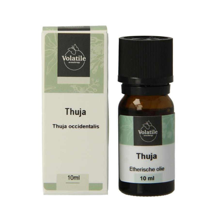 Thuja