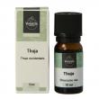 Thuja