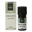 Verbena verveine citroen
