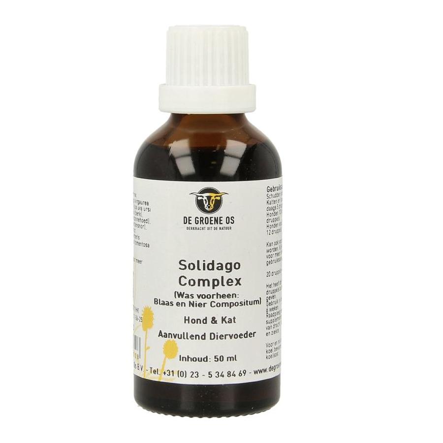 Solidago complex hond/kat