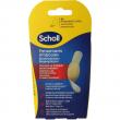 Blarenpleister tenen