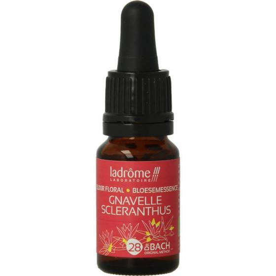 Scleranthus / hardbloem bio