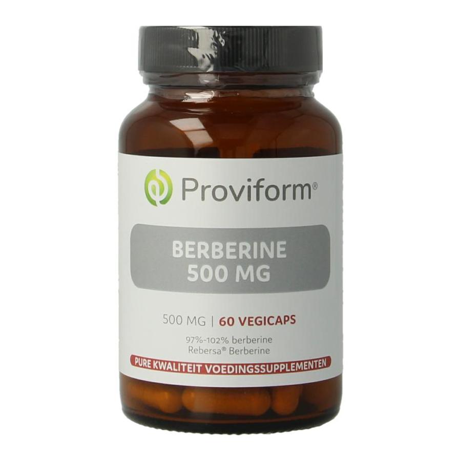 Berberine 500mg Rebersa