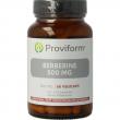 Berberine 500mg Rebersa