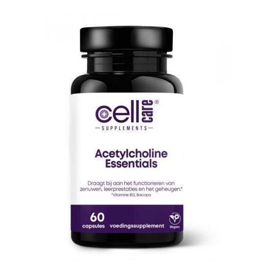 Acetylcholine essentials