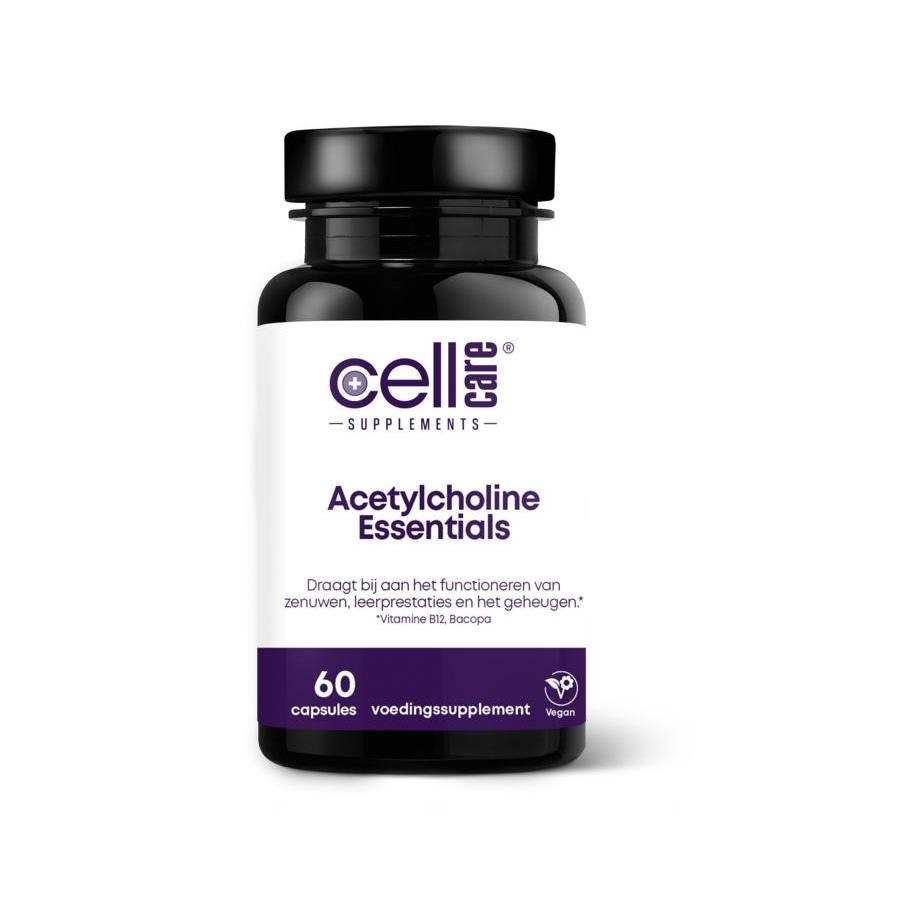 Acetylcholine essentials