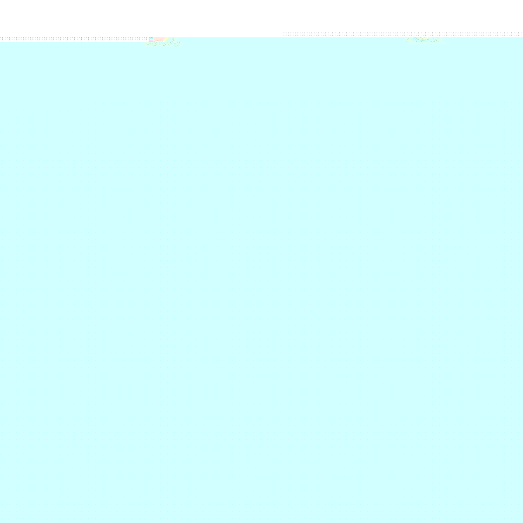 Zonnebloempitten eko bio