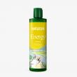 Weleda energy doucegel gember bio