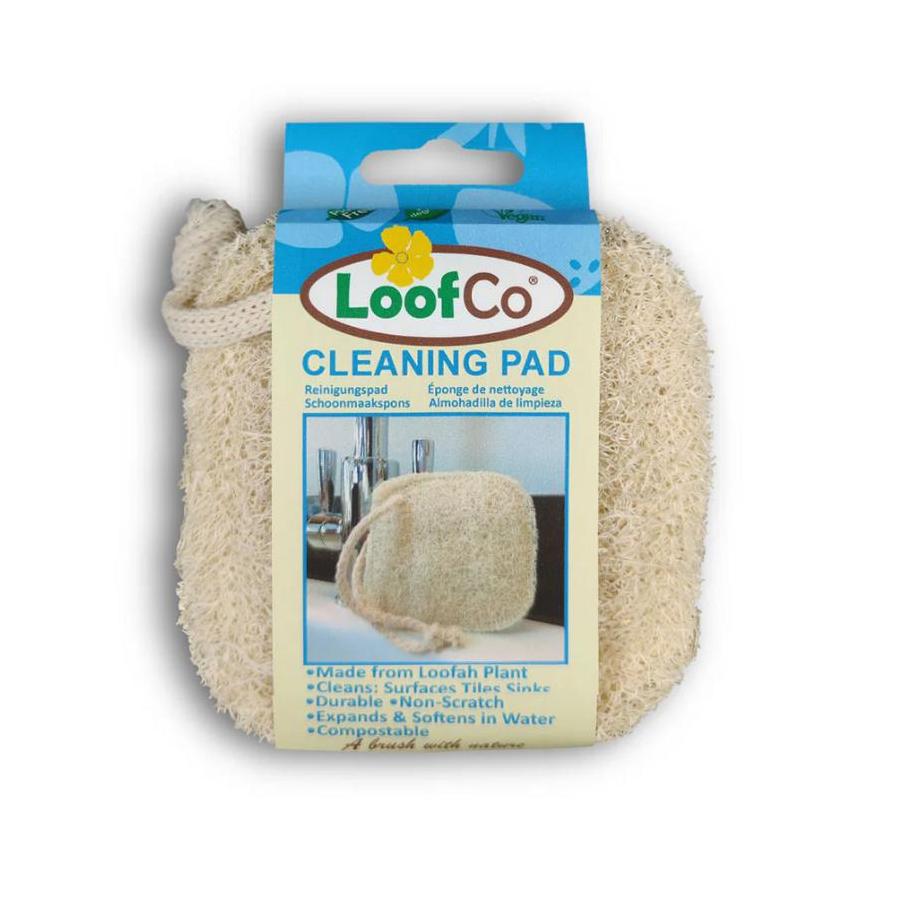 Loofco Schoonmaakspons bio