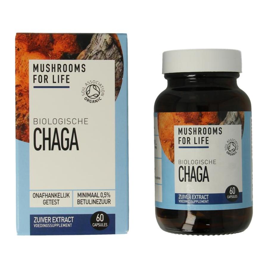 Mushrooms F Life Chaga bio