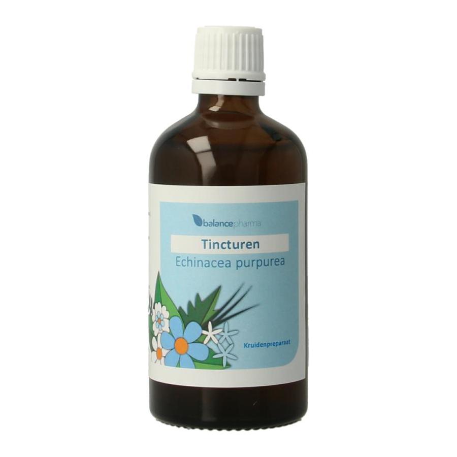 Balance Pharma Echinacea purpurea L. tincturen