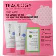 Teaology Peach tea hair kit