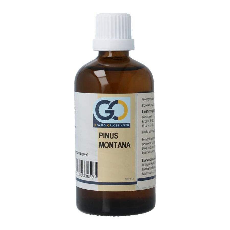 GO GO pinus montana bio