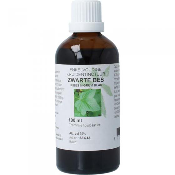 Cruydhof ribus nigrum & zwarte bes