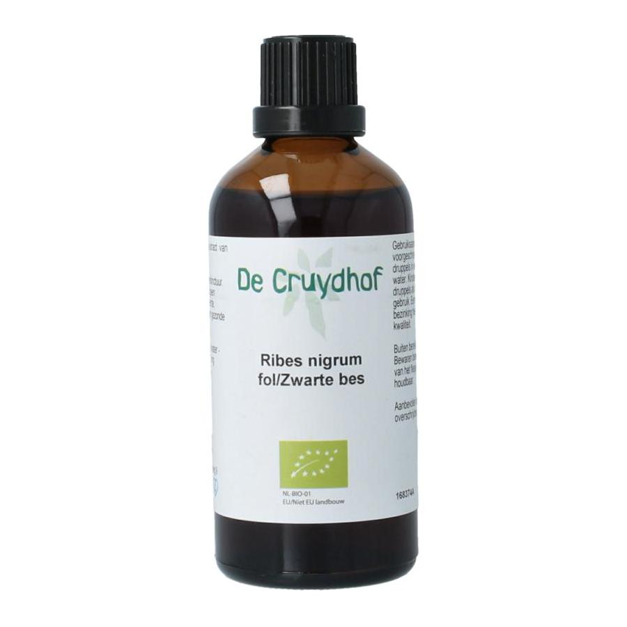 Cruydhof ribus nigrum & zwarte bes