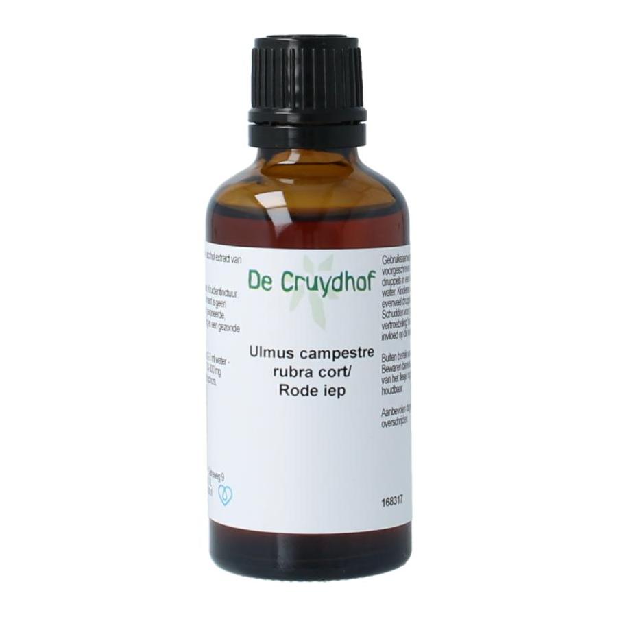Cruydhof ulmus camp rubr/rode iep