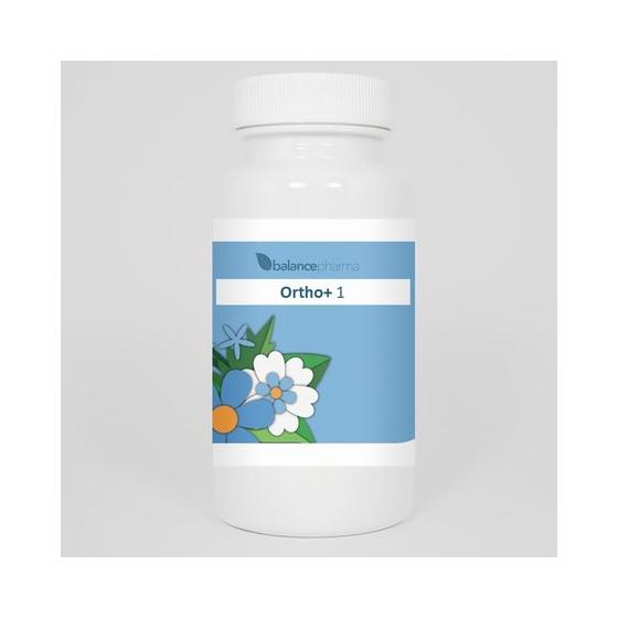 Gemmo simplex 5 ampelopsis weitchii