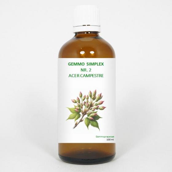 Balance Pharma Gemmo simplex 2 acer campestre