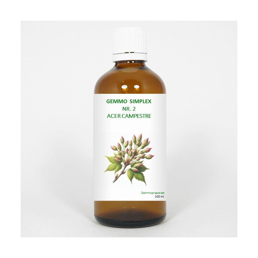 Balance Pharma Gemmo simplex 2 acer campestre