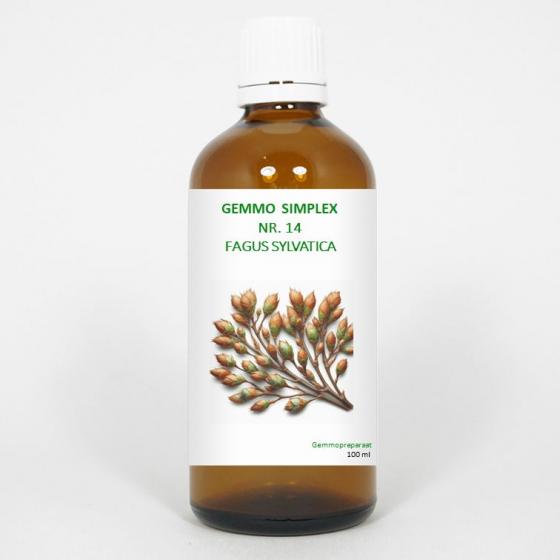 Balance Pharma gemmo simpl 14 fagus sylvatica