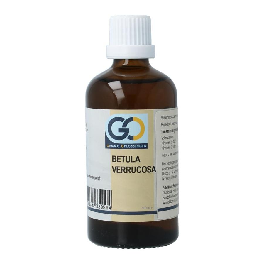 GO GO betula verrucosa bio