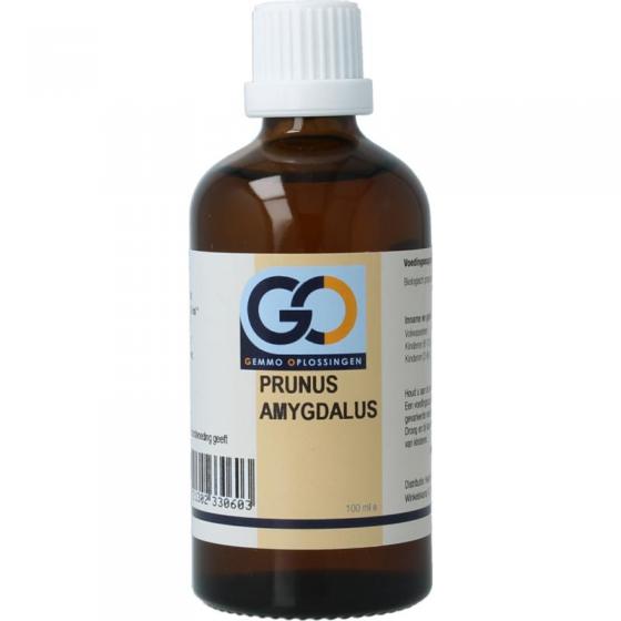 GO GO prunus amygdalus bio