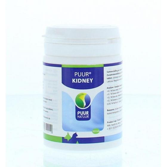 Kidney