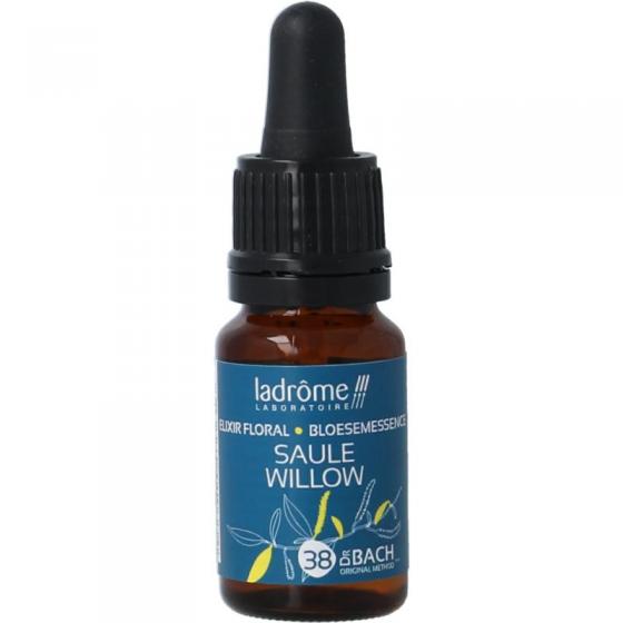 Ladrome willow bio