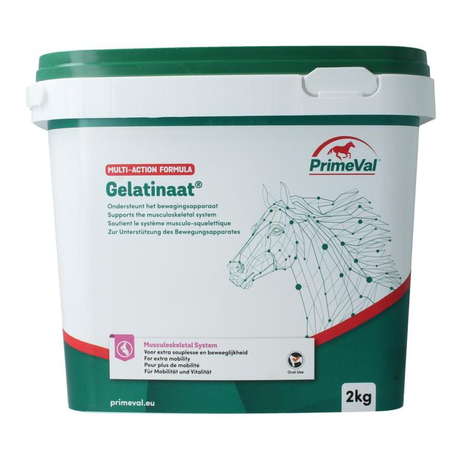 Primeval Gelatinaat paard