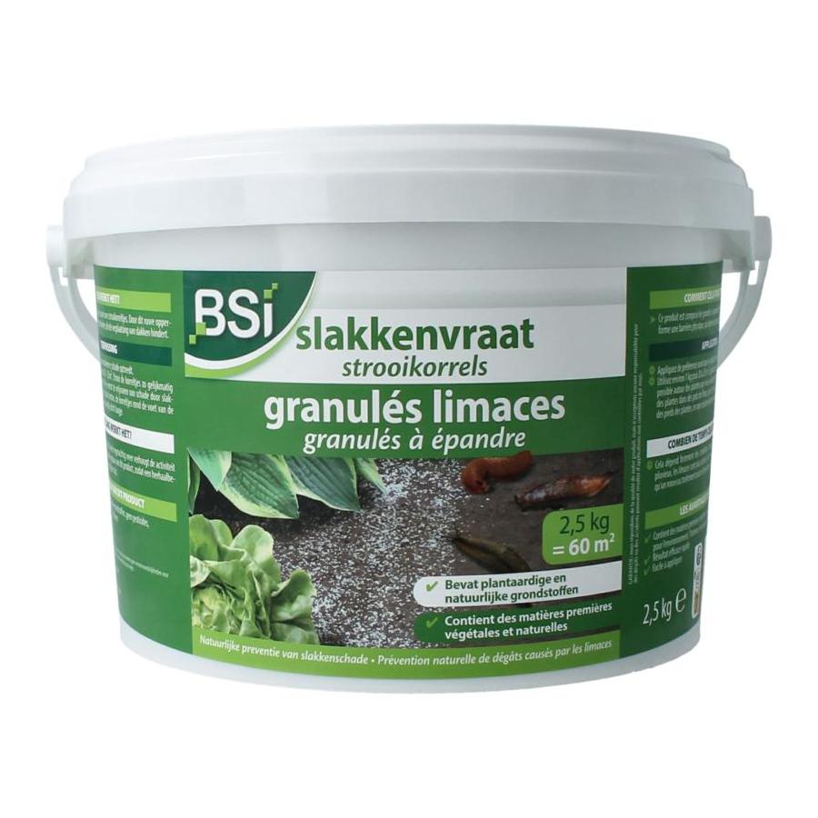 Slakkenvraat