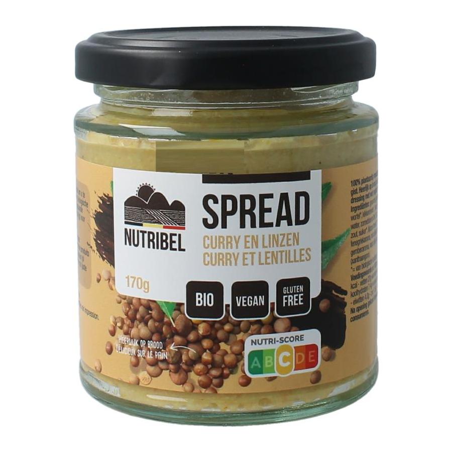 Curry linzen spread glutenvrij bio