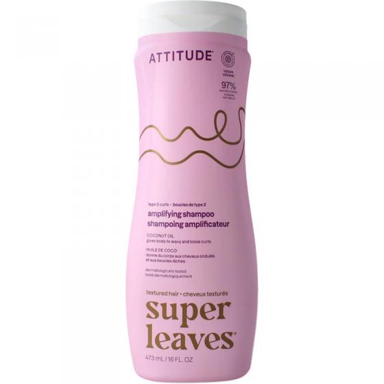 Atttitude shamp coco curl ampli type 2