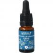  bloesemessence elm bio