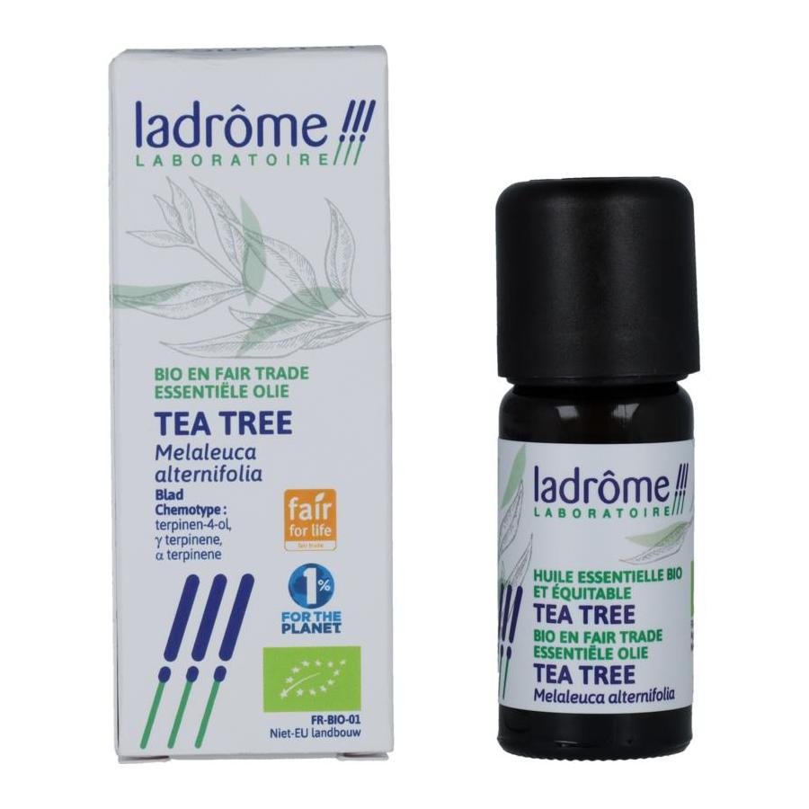  melaleuca alternifolia tea tre