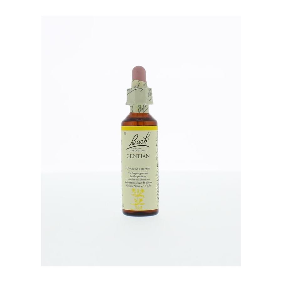 Gentian/gentiaan