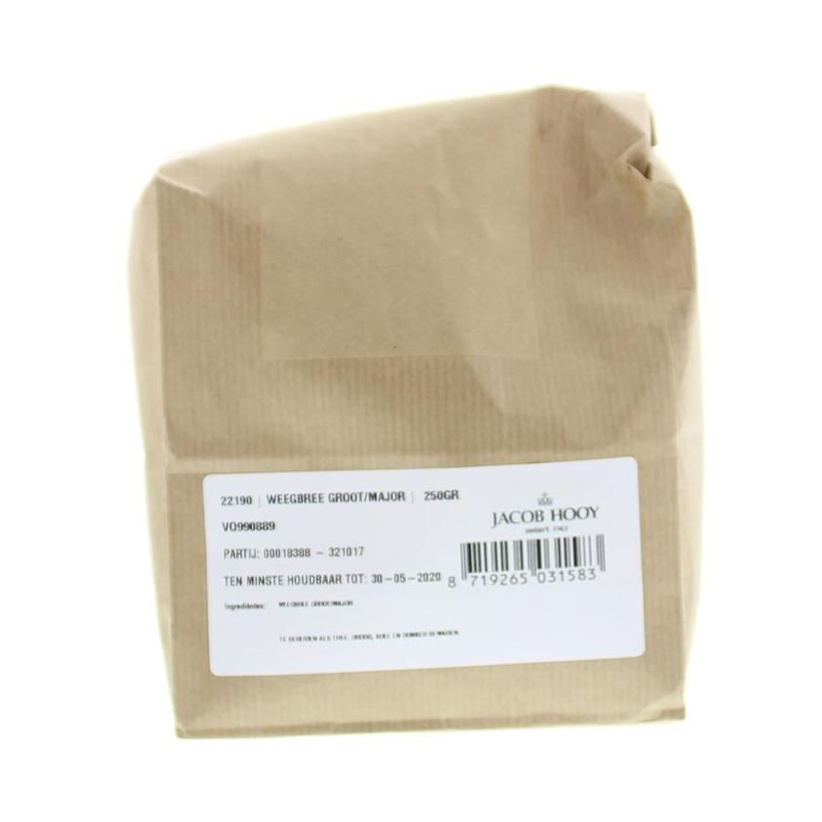 Weegbree groot gesneden