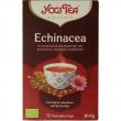 Echinacea bio