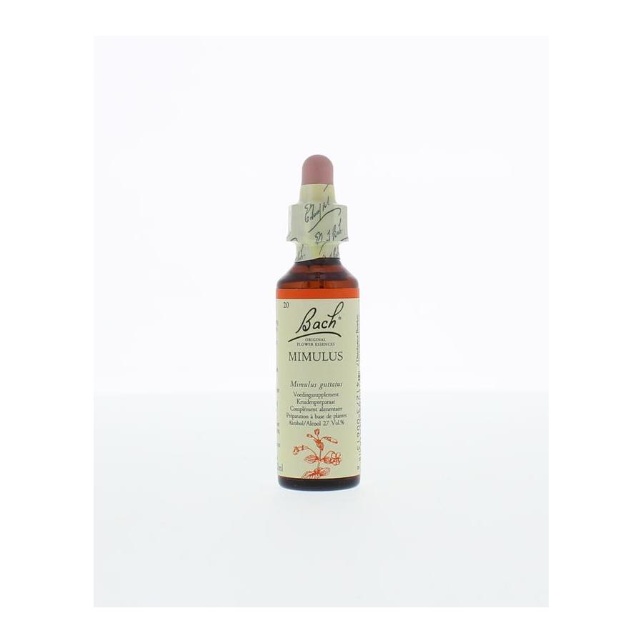 Mimulus/maskerbloem
