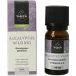 Eucalyptus bio