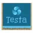 Testa