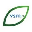 VSM